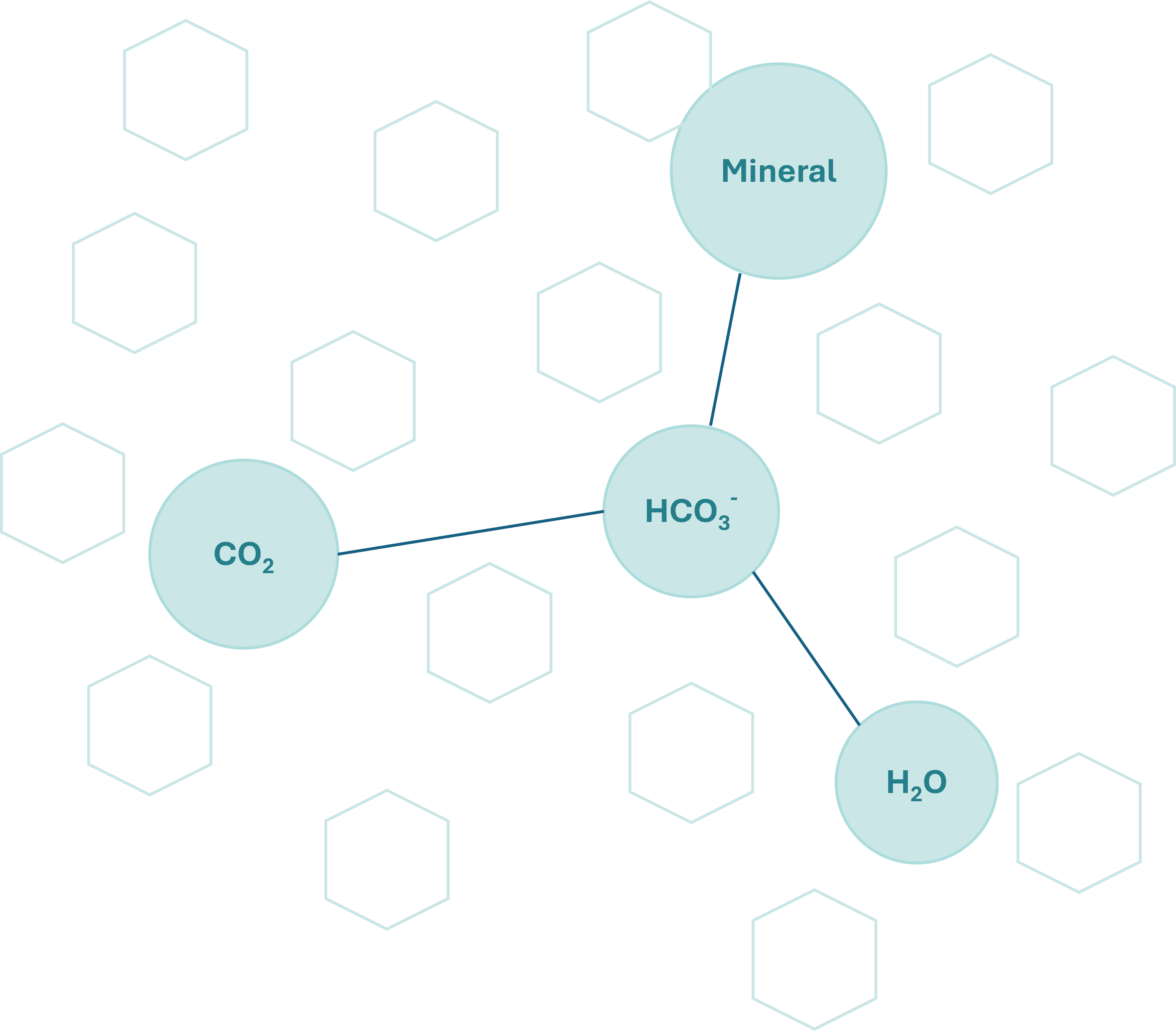 Carbon conversion diagram